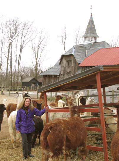 alpacas-offer-way-to-keep-family-farm