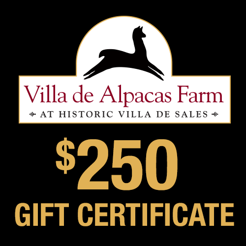 Villa De Alpacas Farm $250 Gift Certificate