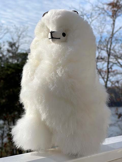 Plush alpaca toy - Winter White Alpaca Ms. Snowflake
